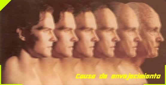 Que causa el envejecimiento del hombre